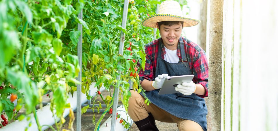 agriculture-visa-support agriculture-visa-support